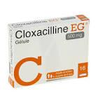 CLOXACILLINE LABCLOX 500MG PL