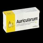 AURICULARUM PDRE-36401418