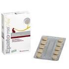 PIMA ELVATON CYPROHEPTDIN+MULTI B/30 CP