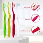 SHIELD BROSSE CLARITY SOUPLE