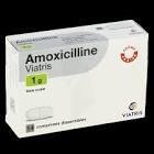 AMOXICILLINE