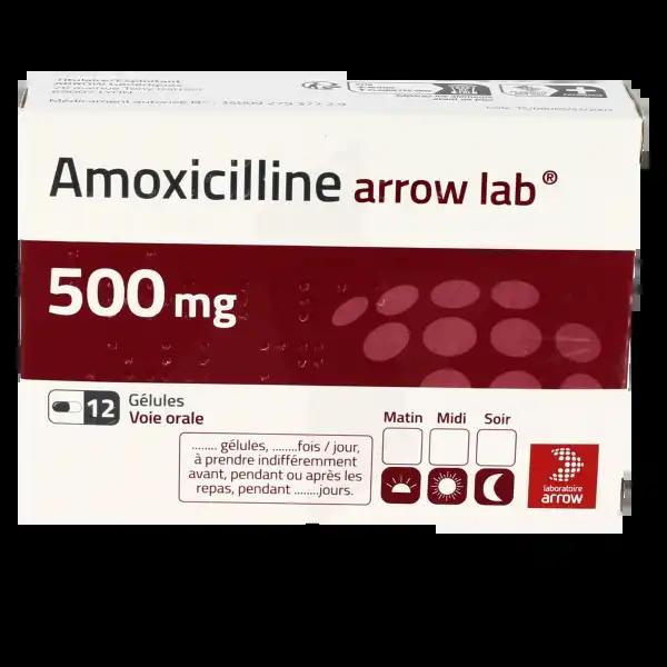 AMOXICILINE LABOMOX 500MG