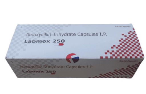 [AMO-LAB-250] AMOXICILINE LABOMOX 250MG SP