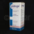 [GAS-SP-250] GASTROGEL SP 250ML +