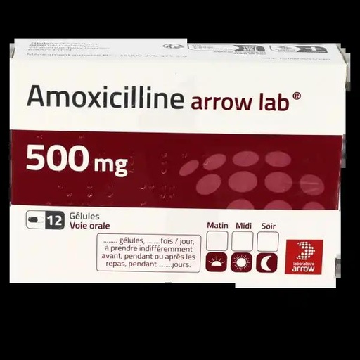 [AMO-LAB-500] AMOXICILINE LABOMOX 500MG