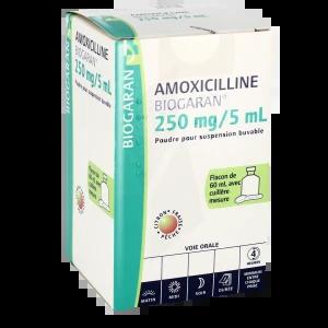 [AMO-250-CRE] AMOXICILLINE 250MG CREAT SP